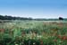  Beaufort Spring