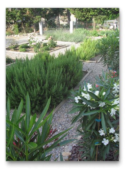 View of the side garden with the driveway/entrance beyond.
